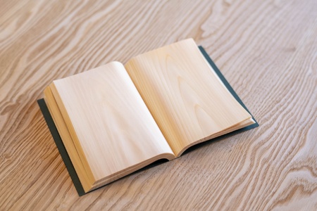 Shikibun 木のノート | 伊那市 信州 ふるさと納税 木材 木 ノート 文房具 経木【010-02】