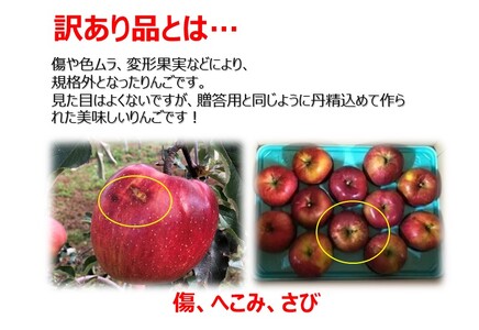 【009-36】信州のりんご　名月　訳あり家庭用　約5kg