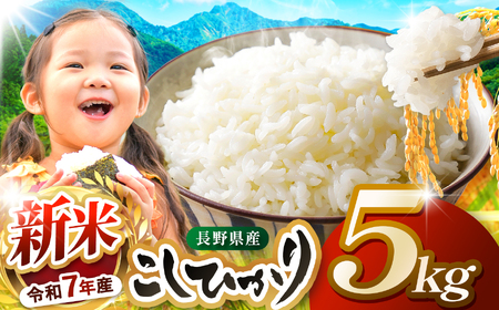米 5kg コシヒカリ 令和7年産 JA上伊那 新米 コシヒカリ 今ずり米 5kg 長野 上伊那産 お米 長野県産 こしひかり 5キロ 白米 精米 信州産 特産 産地直送 おすすめ こめ コメ おこめ 送料無料 長野県 伊那市 【017-24】