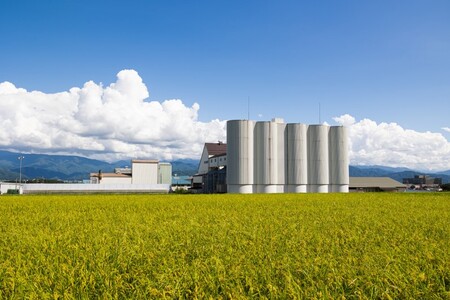 米 5kg コシヒカリ 令和7年産 JA上伊那 新米 コシヒカリ 今ずり米 5kg 長野 上伊那産 お米 長野県産 こしひかり 5キロ 白米 精米 信州産 特産 産地直送 おすすめ こめ コメ おこめ 送料無料 長野県 伊那市 【017-24】