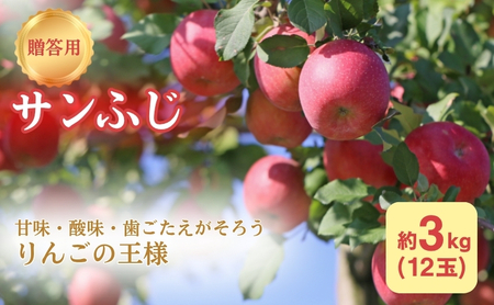 りんご 長野 贈答用 リンゴ サンふじ 約3kg （12玉） 産地直送 ギフト プレゼント 贈答 贈答品 贈り物 フルーツ 果物 デザート サンフジ 秋 旬 信州 長野県 長野県産