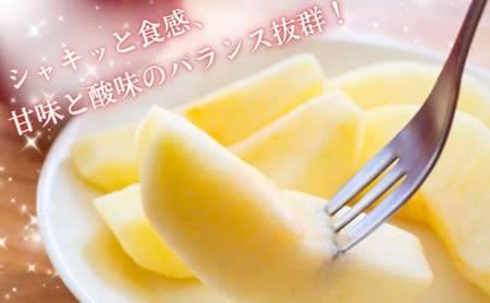 りんご 長野 贈答用 リンゴ サンふじ 約3kg （12玉） 産地直送 ギフト プレゼント 贈答 贈答品 贈り物 フルーツ 果物 デザート サンフジ 秋 旬 信州 長野県 長野県産