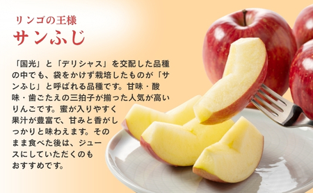 りんご 長野 贈答用 リンゴ サンふじ 約3kg （12玉） 産地直送 ギフト プレゼント 贈答 贈答品 贈り物 フルーツ 果物 デザート サンフジ 秋 旬 信州 長野県 長野県産