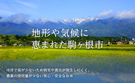 【定期便】長野県産「コシヒカリ」（5kg×6回）【橋本商事】