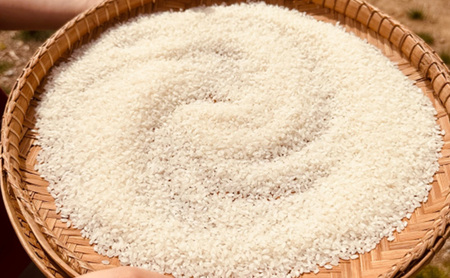 国産バスマティ「サリカ米」（5kg）