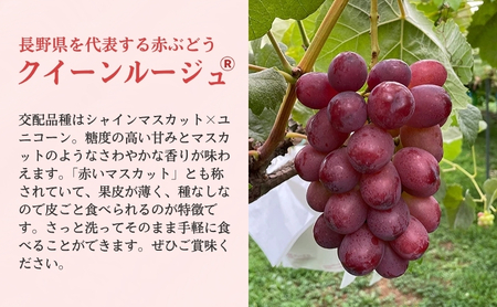 クイーンルージュ 4キロ 長野県産 - メルカリ シャインマスカット