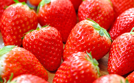 南信州産「いちご」 (300g×8パック)　【ヨッシャア駒ヶ根】 果物類 苺 イチゴ