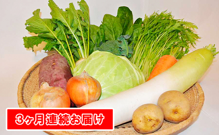 【定期便】季節の有機野菜「詰合せセット」（10種×3回）