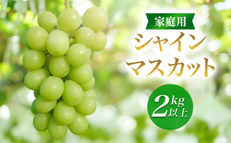 2026年産家庭用シャインマスカット 2kg以上　種なし 果物 ぶどう 葡萄 マスカット フルーツ 長野県 駒ケ根市 7,200円