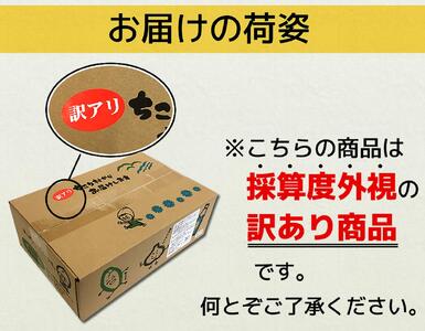 有機黒にんにく 訳あり 玉 アウトレット 有機栽培 有機JAS (1キロ)