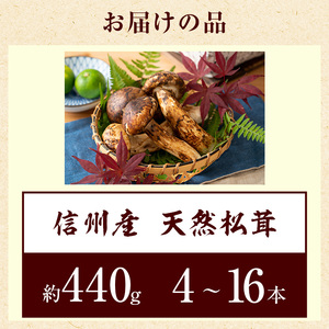 信州産「天然松茸」（約440g/4～16本）