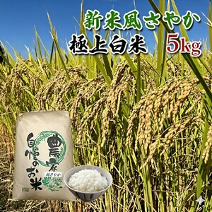 【農家直送】長野県産「風さやか」（5kg）【栄屋ファーム】 お米