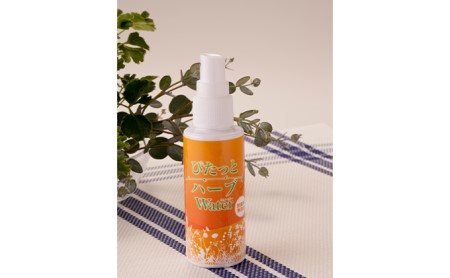 大切なお肌に スプレー型化粧水 日焼け止め さわやかセット 長野県駒ヶ根市 ふるさと納税サイト ふるなび