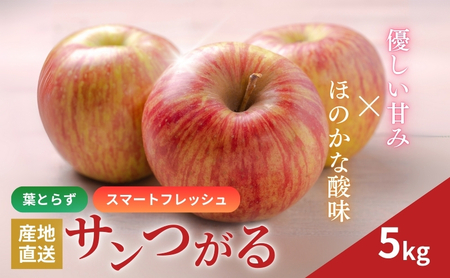 りんご 長野 スマートフレッシュ サンつがる 5kg たっぷり楽しめる 葉とらず 産地直送 フルーツ 果物 デザート おやつ リンゴ 林檎 さんつがる 秋 旬 スムージー ジャム 信州 長野県 長野県産 2026 2026年