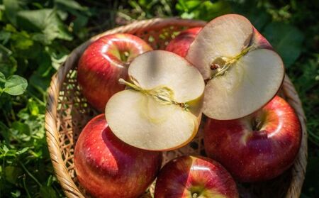 2026年産 たっぷり楽しめる！長野県産「シナノスイート」りんご（5kg） 果物 フルーツ デザート 食後 強い甘み ジューシー 爽やか 皮薄い 丸かじり 秋の味覚 旬 