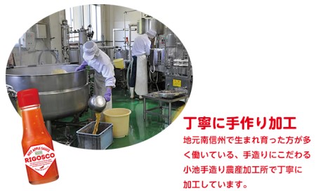 信州りんごの辛うま調味料「リゴスコ」（4本入り） タバスコ 唐辛子 うま味 長野県 料理 スパイス ふじ 国産 ギフト 