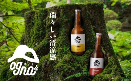 南信州ビールOgnaセット（2種×5本） | 長野県駒ヶ根市 | ふるさと納税