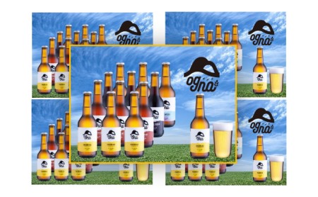 【定期便】南信州ビールOgna「飲み比べセット」（4種×3本×5回）