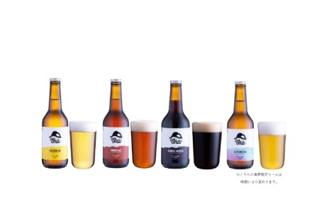 【定期便】南信州ビールOgna「飲み比べセット」（4種×3本×5回）
