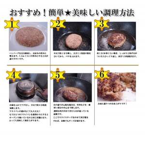 和牛入り生ハンバーグ 10個セット【配送不可地域:離島】【1281816】