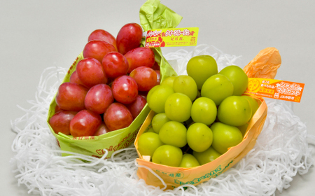 JA中野市直送!長野県オリジナルぶどう「クイーンルージュ(R)」とシャインマスカット 計2房セット【配送不可地域：離島】【1478910】