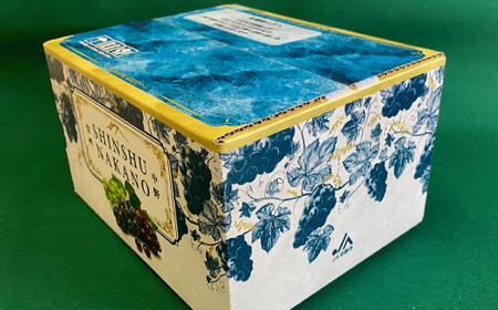 JA中野市直送!長野県オリジナルぶどう「クイーンルージュ(R)」とシャインマスカット 計2房セット【配送不可地域：離島】【1478910】