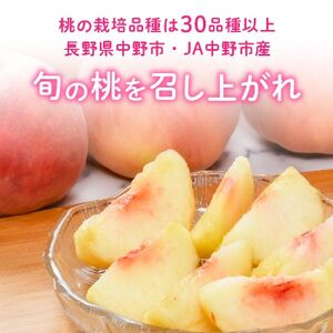 【2026年発送】JA中野市直送　糖度センサー選別糖度13度以上『桃』2.1kg以上(6～8玉)【配送不可地域：離島】【1482187】