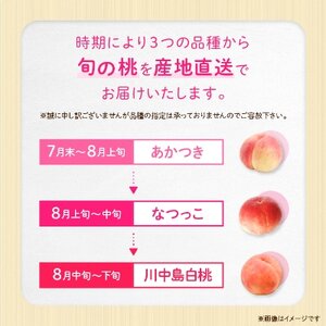 【2026年発送】JA中野市直送　糖度センサー選別糖度13度以上『桃』2.1kg以上(6～8玉)【配送不可地域：離島】【1482187】