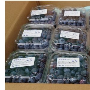 信州　中野市産ブルーベリー100g 12パック入り【配送不可地域：離島】【1494242】
