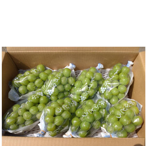 長野県中野市産ぶどう・シャインマスカット秀品 5kg箱 7～11房入り【配送不可地域：離島】【1494264】