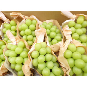 長野県中野市産ぶどう・シャインマスカット秀品 5kg箱 7～11房入り【配送不可地域：離島】【1494264】