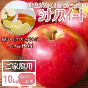 【先行受付】りんご シナノスイート家庭用10kg【配送不可地域：離島】【1494507】