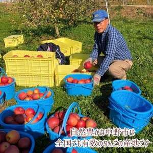 【先行受付】りんご シナノゴールド 家庭用 10kg【配送不可地域：離島】【1494508】