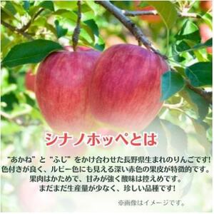 信州シナノホッペのりんごジュース(1000ml×3本)【1495966】