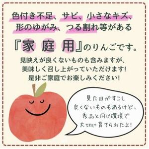 りんご シナノホッペ 約5kg 家庭用 (13玉～23玉)【1495969】