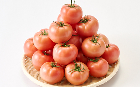 『陽の香り』トマト4kg箱満杯詰め 長野の自然が育てた恵 (個数おまかせ)【1342500】