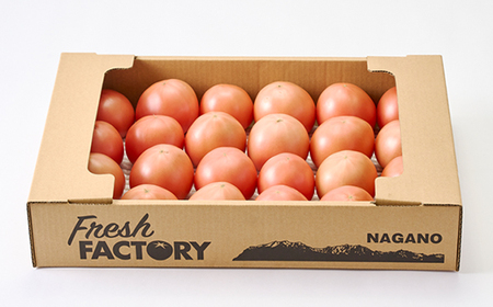 『陽の香り』トマト4kg箱満杯詰め 長野の自然が育てた恵 (個数おまかせ)【1342500】