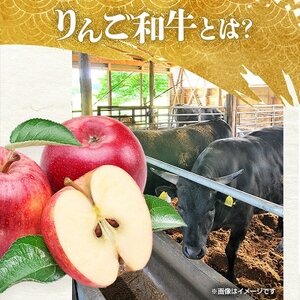 りんご和牛　信州牛切り落とし500g【配送不可地域：離島】【1393349】