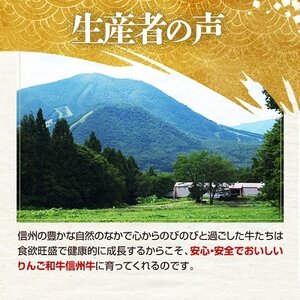 りんご和牛　信州牛切り落とし500g【配送不可地域：離島】【1393349】