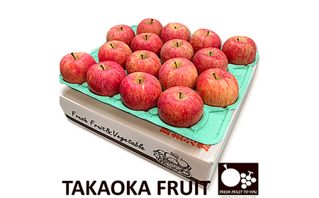 【2025発送分】ニ信州中野の旬をお届けニ サンふじ　贈答用　5kg(11～18玉)【高丘フルーツ】【1297195】