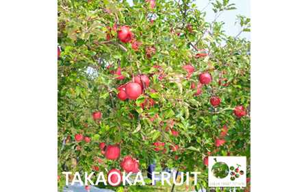 【2025発送分】ニ信州中野の旬をお届けニ サンふじ　贈答用　5kg(11～18玉)【高丘フルーツ】【1297195】