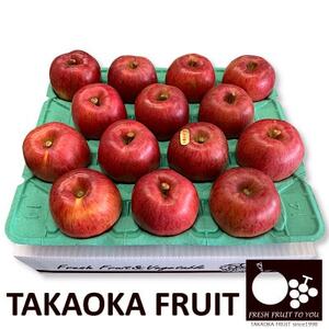 ~信州中野の旬をお届け~ あいかの香り　贈答用　約5kg【高丘フルーツ】【1303551】