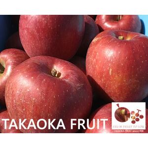 ~信州中野の旬をお届け~ あいかの香り　贈答用　約5kg【高丘フルーツ】【1303551】