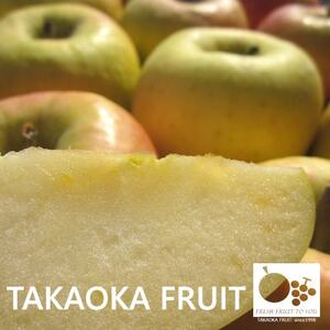 長野県産ぐんま名月　贈答用　大玉5～6玉入り【高丘フルーツ】【1305052】