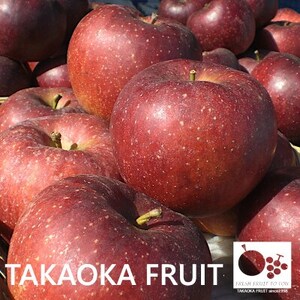 2026年発送「産地より信州中野の旬をお届け」 秋映(あきばえ)　贈答用　約5kg【1306515】