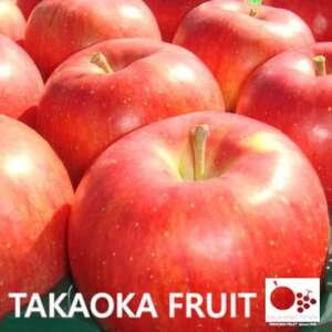 2026年発送「産地より信州中野の旬をお届け」 シナノスイート 贈答用 約5kg【1306564】