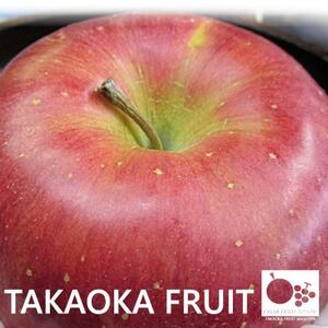 2026年発送「産地より信州中野の旬をお届け」 シナノスイート 贈答用 約5kg【1306564】