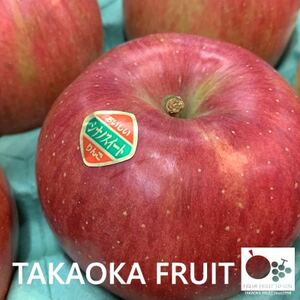 2026年発送「産地より信州中野の旬をお届け」 シナノスイート 贈答用 約5kg【1306564】