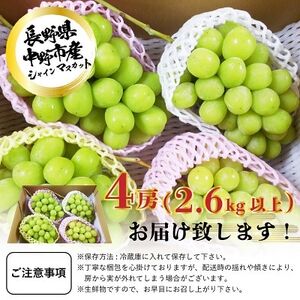 長野県中野市産　冬でも食べれる　シャインマスカット4房(2.6kg以上)【配送不可地域：離島】【1331183】