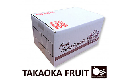 2026年発送「産地より信州中野の旬をお届け」 シャインマスカット　贈答用　約1kg【配送不可地域：離島】【1311083】